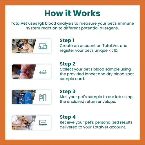 How it Works: four steps to use TotalVet for pet allergy analysis