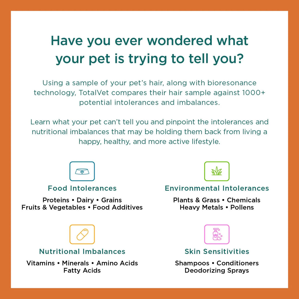 Pet Allergy Test Kit