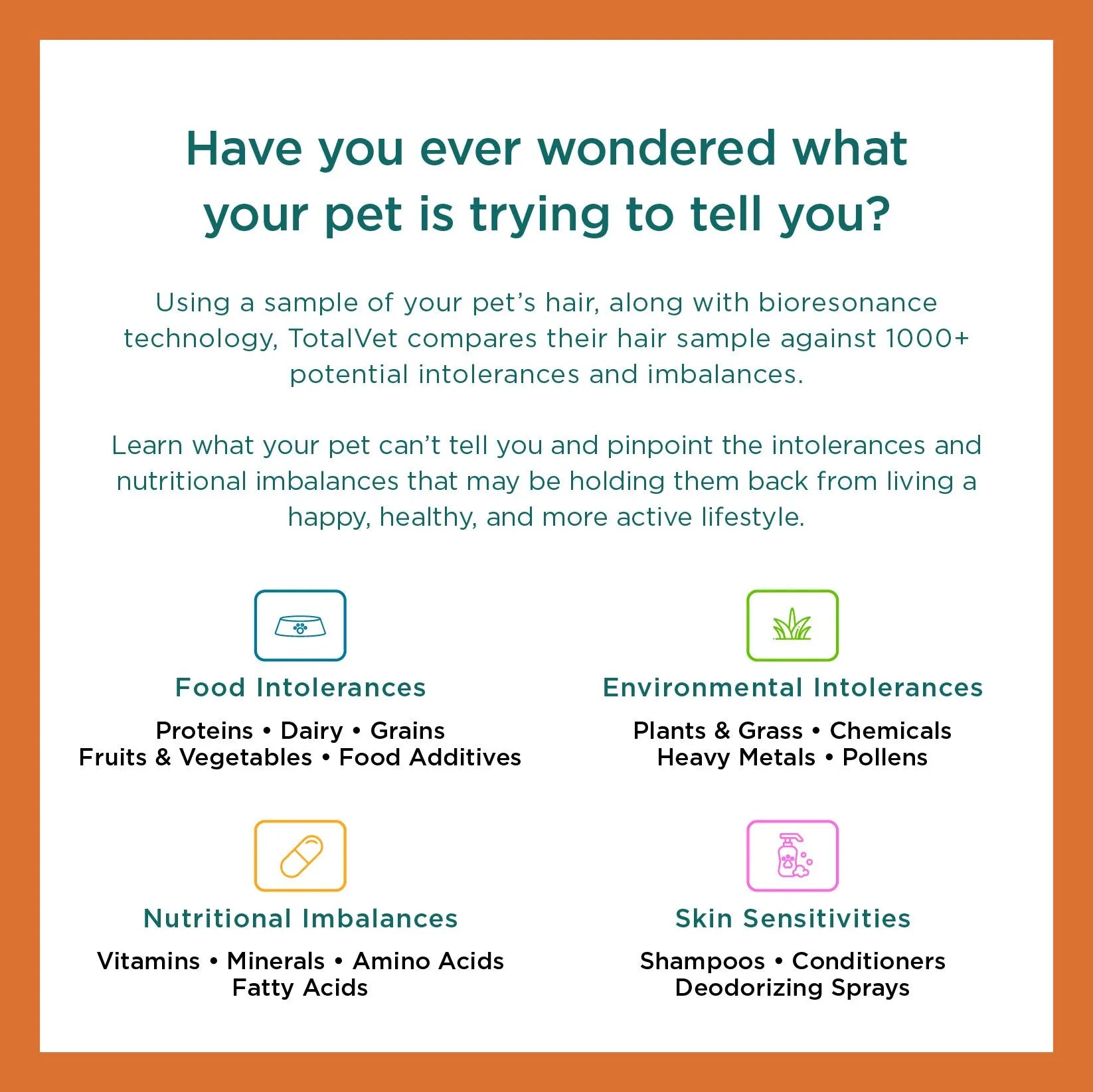 Pet Allergy Test Kit