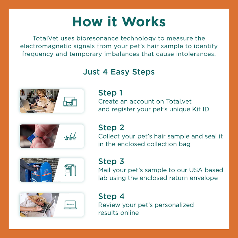 Pet Allergy Test Kit