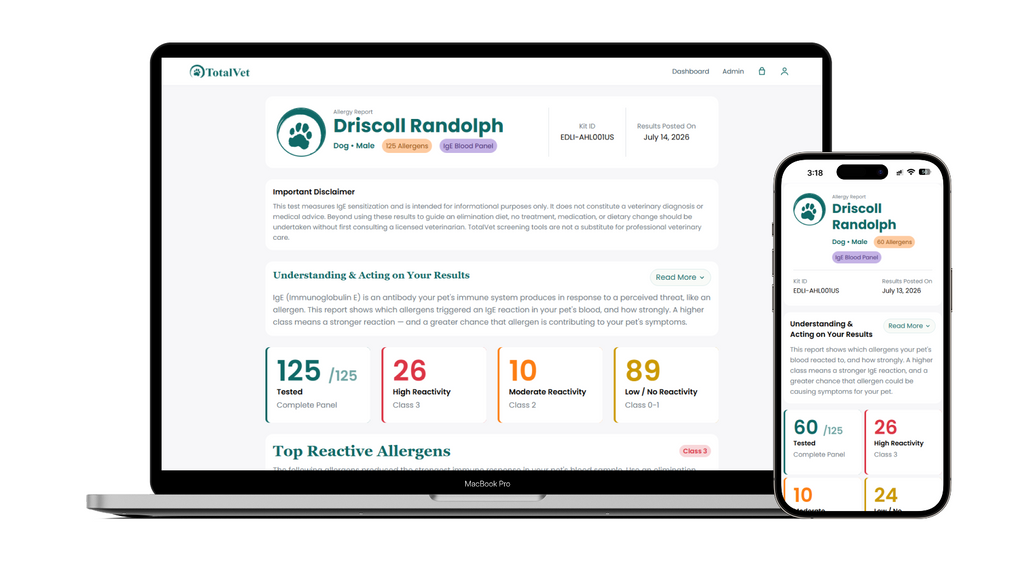 Sample Report UI
